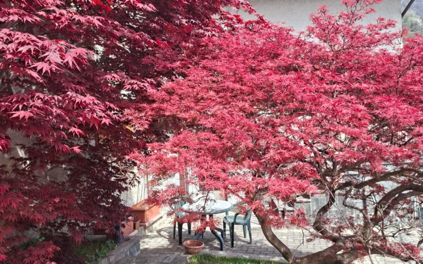VESTRENO Casa vista lago con giardino