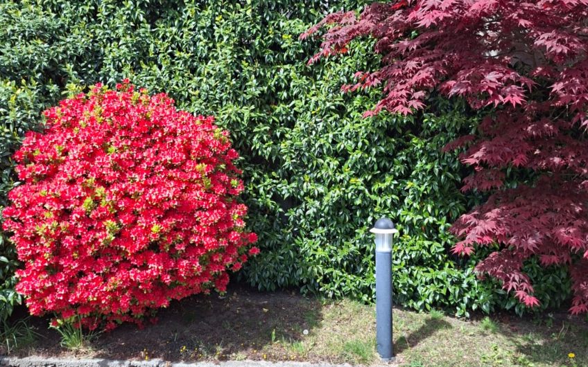 VESTRENO Casa vista lago con giardino